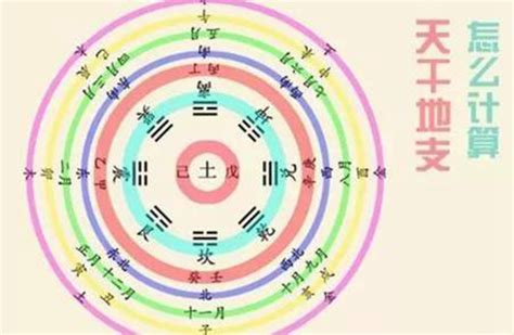 壬辰五行|壬辰年（干支纪年）